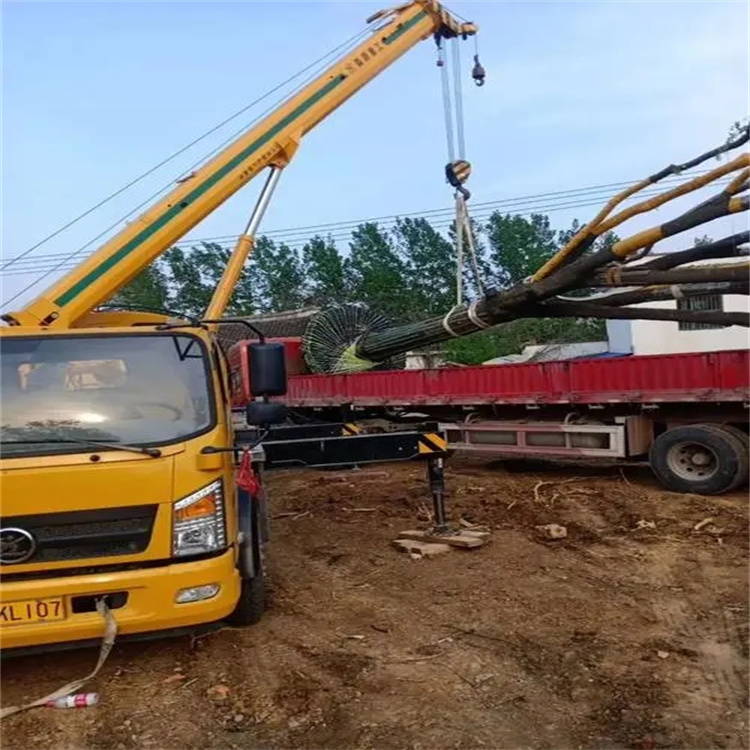 工业园区100吨吊车租赁费用怎么算？3大关键因素+省钱技巧全解析